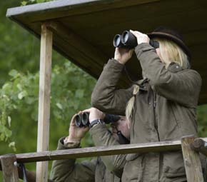 德国视得乐——夜鹰系列