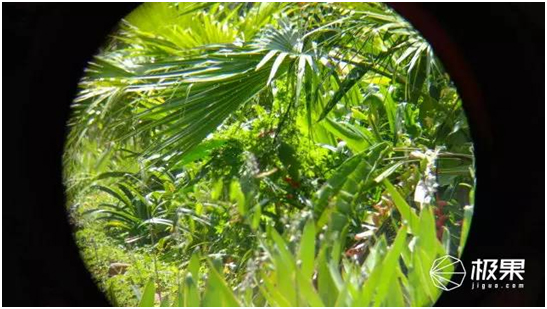 14927613932104108737.jpg 26.jpg