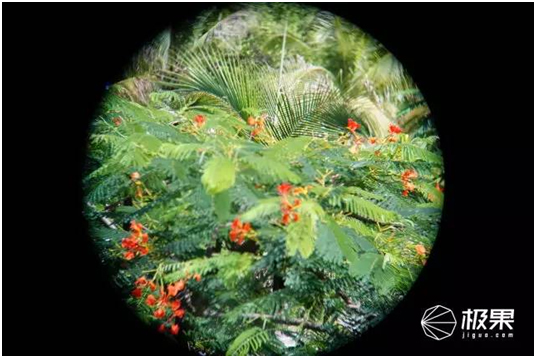 14927615362104463882.jpg 36.jpg