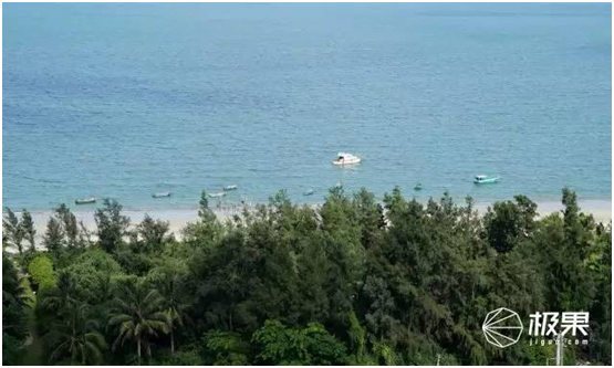 14927616402104784555.jpg 46.jpg