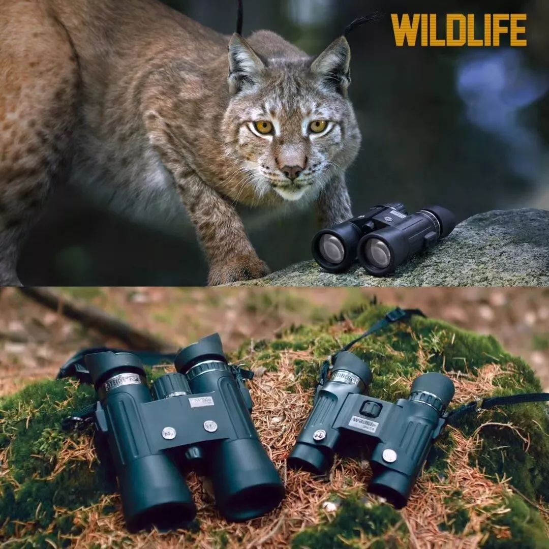 15131500791312786577.jpg 640 (9).jpg