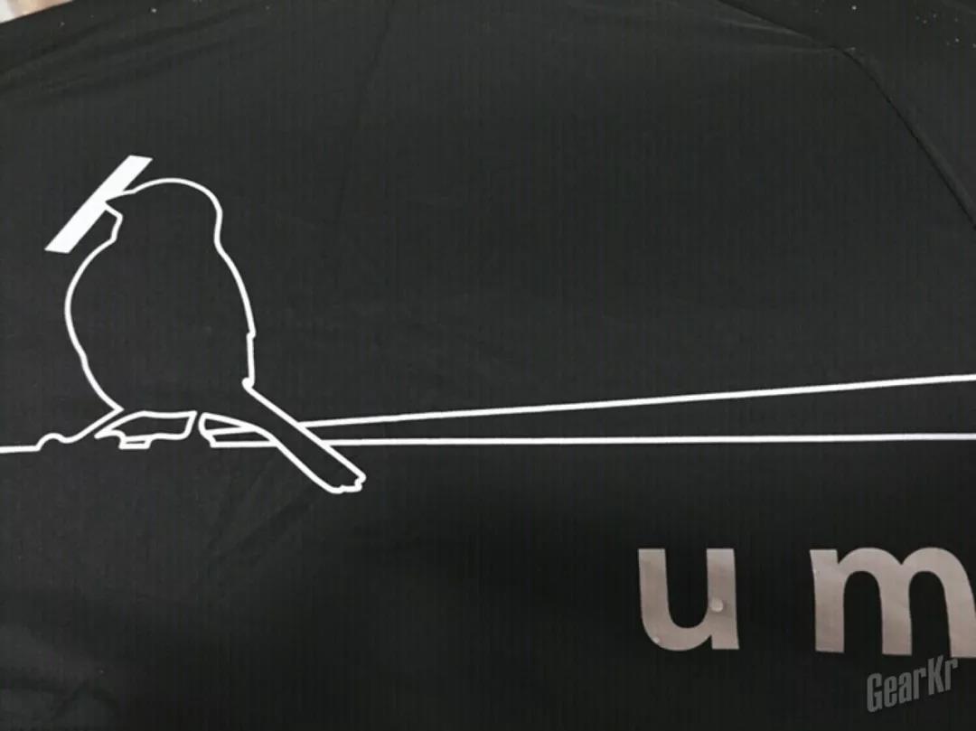 15299704472606392062.jpg 10.jpg