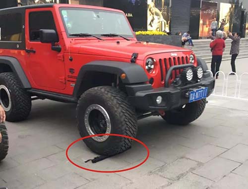 15299706442606313916.jpg 5.jpg