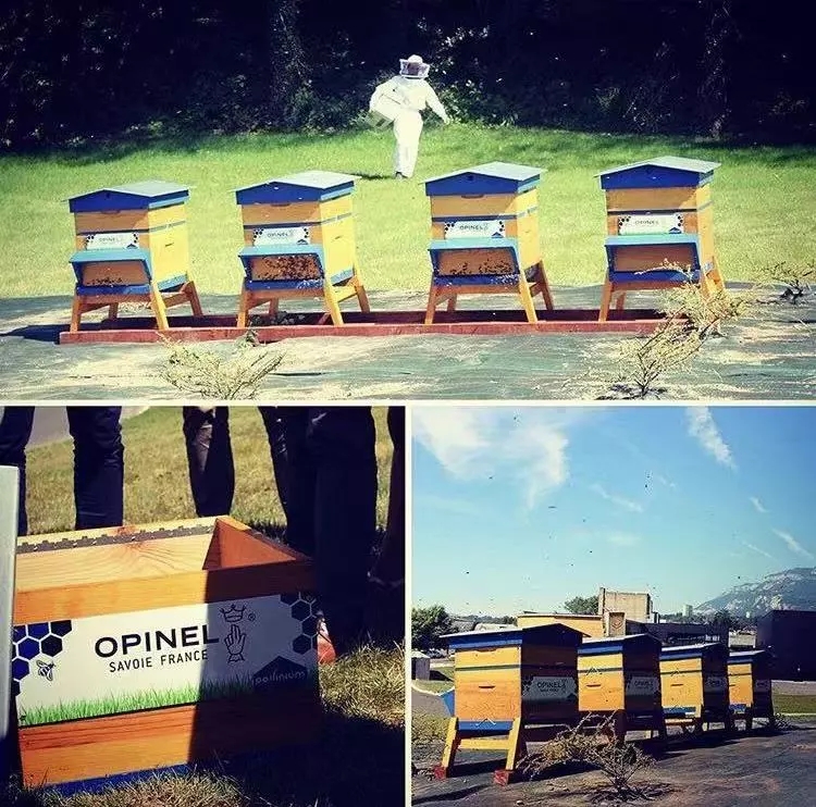 15299711862606543448.jpg 640.webp (7).jpg