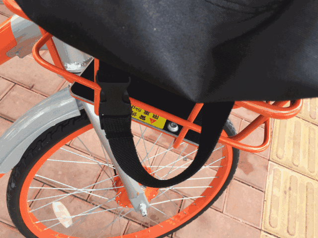 15299734232606905905.gif 微信图片_20180930153033.gif