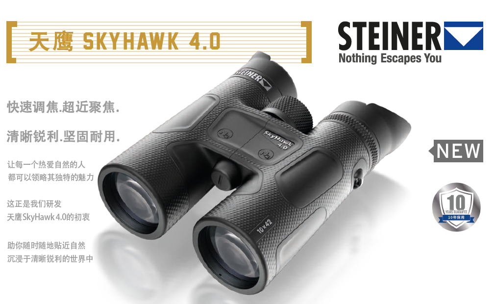 15463964630201842976.png image.png