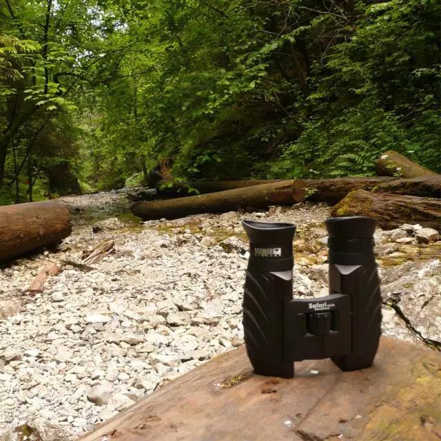 15591097452905675391.jpg 微信图片_20190529140125.jpg