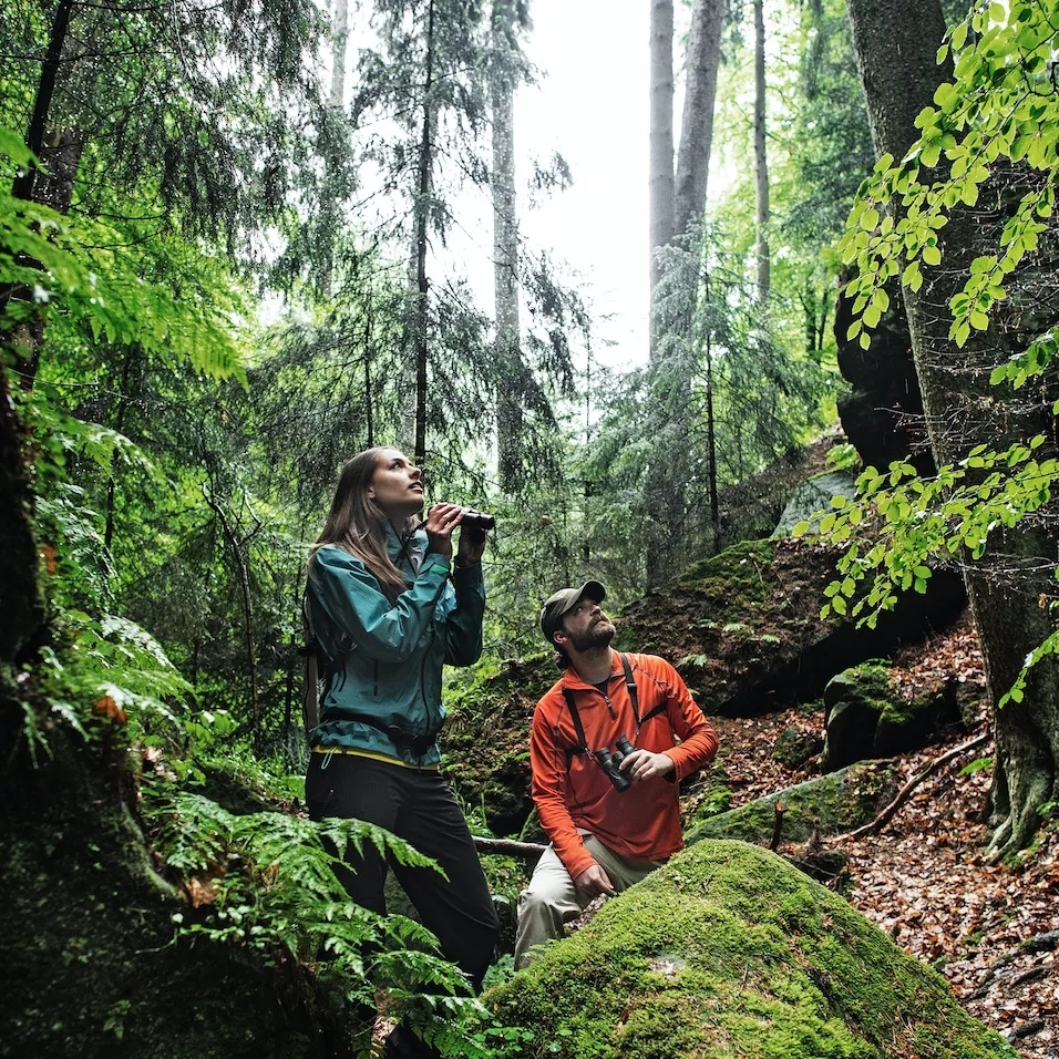 15603066031206780628.jpg 1.webp.jpg