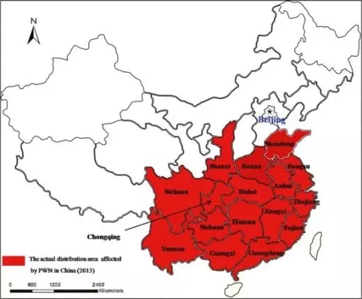 15603066281206822342.jpg 2.webp.jpg