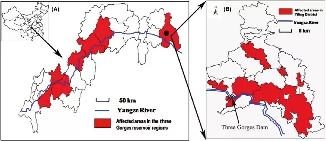 15603067601206603337.jpg 4.webp.jpg