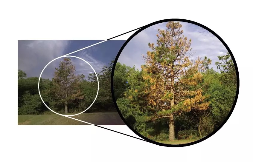 15603070421206109674.jpg 10.webp.jpg