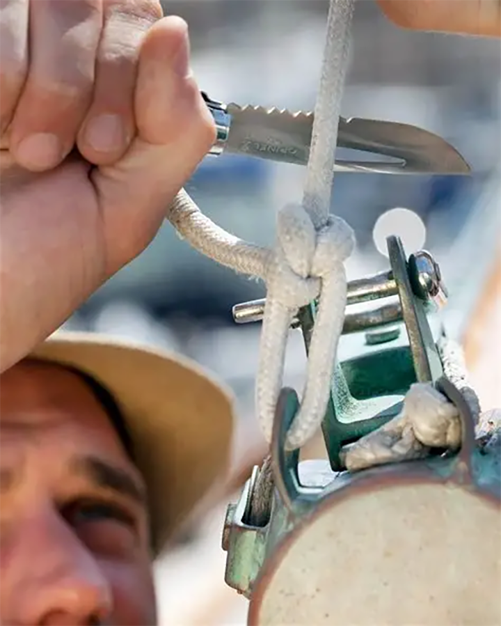 17700138810202416353.png 06.png